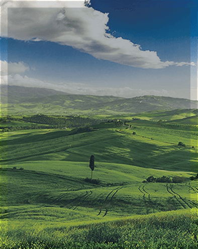 ÇEVRE VE İSG YÖNETİMİ